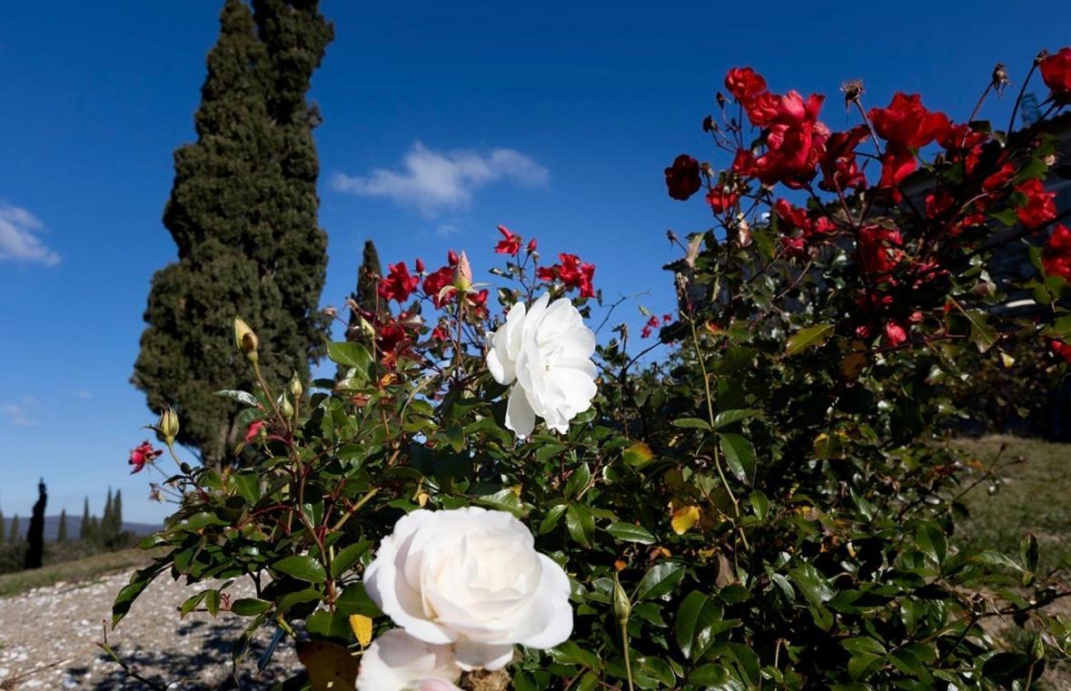 Agriturismo Il Ghiaccio Suvereto Buitenkant foto